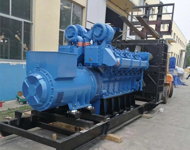 EvoTec 1200kw/400v Landnutzungsgenerator für ein Immobilienprojekt
