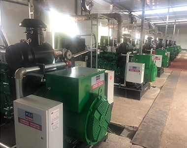 EvoTec 250kw/400v Landnutzungsgenerator für das CNPC-Projekt