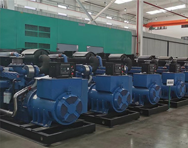 EvoTec 500kw/400v Landnutzungsgenerator für Zuchtprojekt