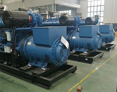 EvoTec 800kw/400v Landnutzungsgenerator für ein Zuchtfarmprojekt