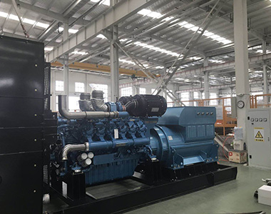1000kw 10.5kv EvoTec Hochspannungsgenerator für Shangdong Pharmafabrikprojekt
