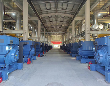 Shanxi 24WM Gas Stromerzeugungsprojekt (1000KW / 10.5KV Hochspannungsgenerator)
