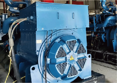 Tail Gas Power Generation Project of Chemical Plant in Shandong Province -2X 700KW/10.5KV 6-polige HV-Alternatoren